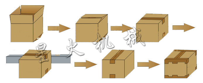 全自动装箱机(图1)